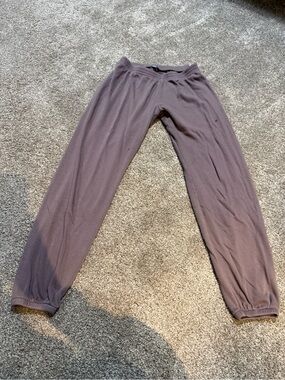 Free with any purchase ! aerie Mauve Fleece Jogger Pants